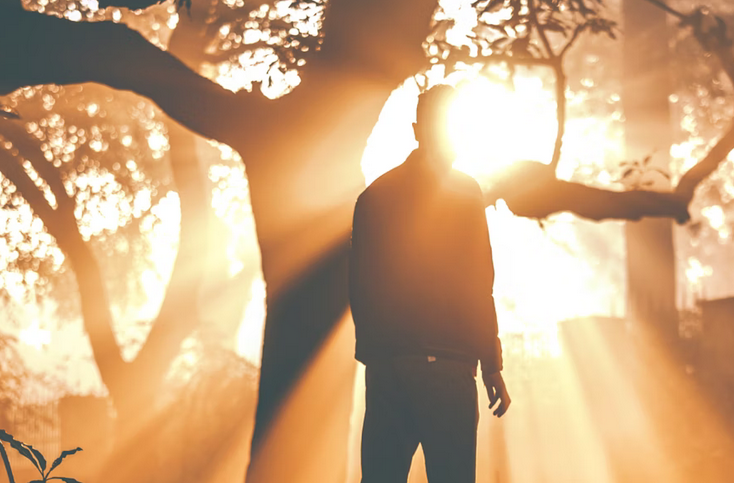 آنچه روح شما نیاز دارد